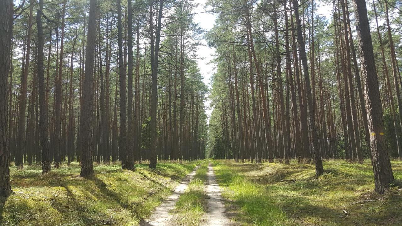 Borywood Villa Male Gacno Kültér fotó