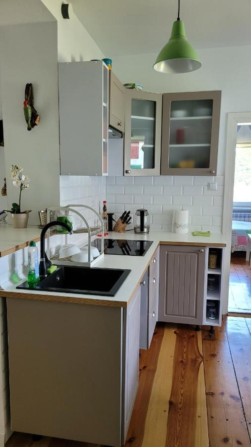 Borywood Villa Male Gacno Kültér fotó