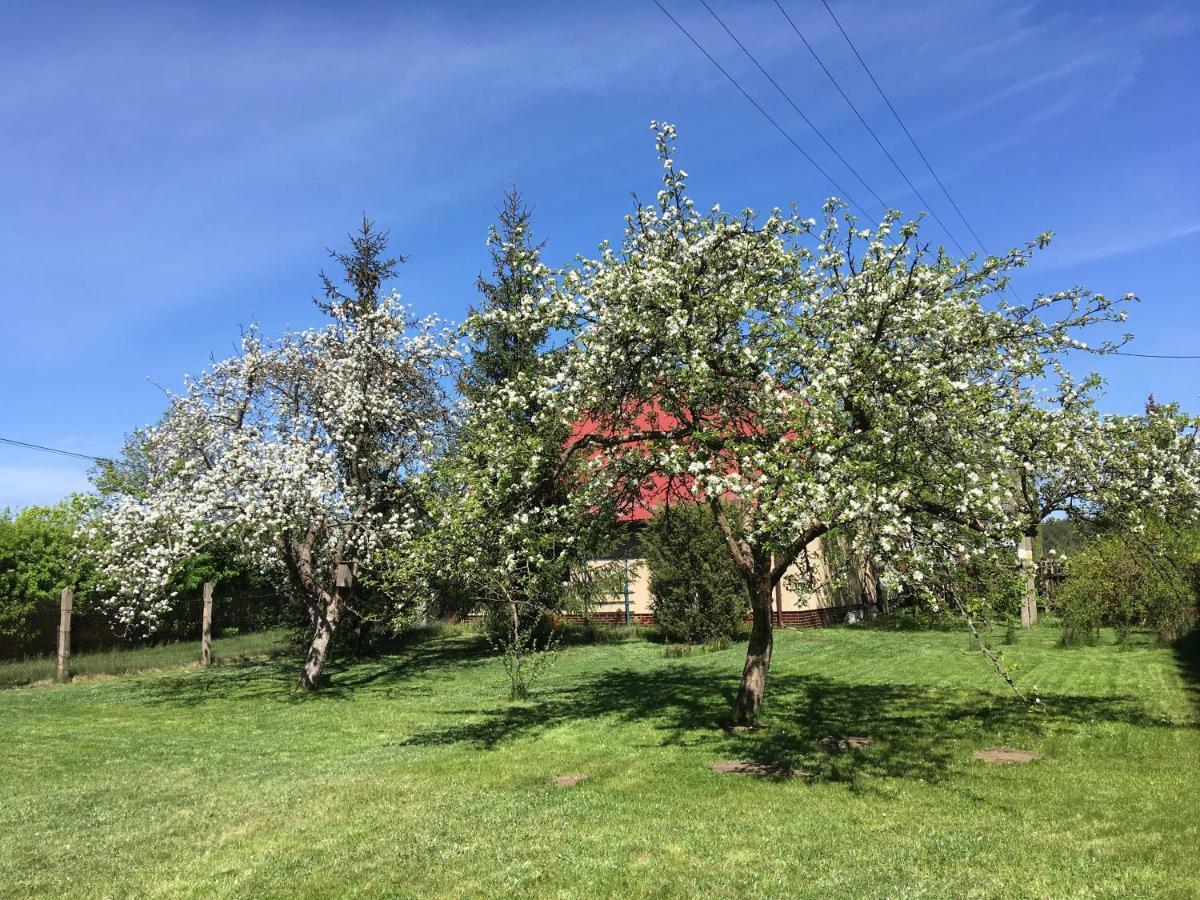 Borywood Villa Male Gacno Kültér fotó