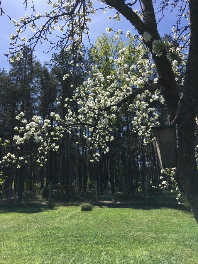 Borywood Villa Male Gacno Kültér fotó