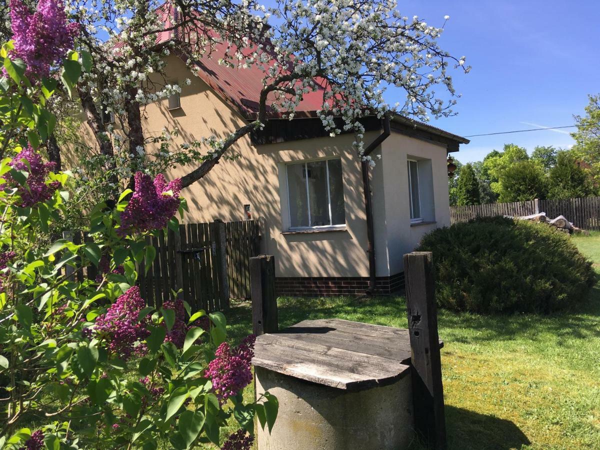 Borywood Villa Male Gacno Kültér fotó